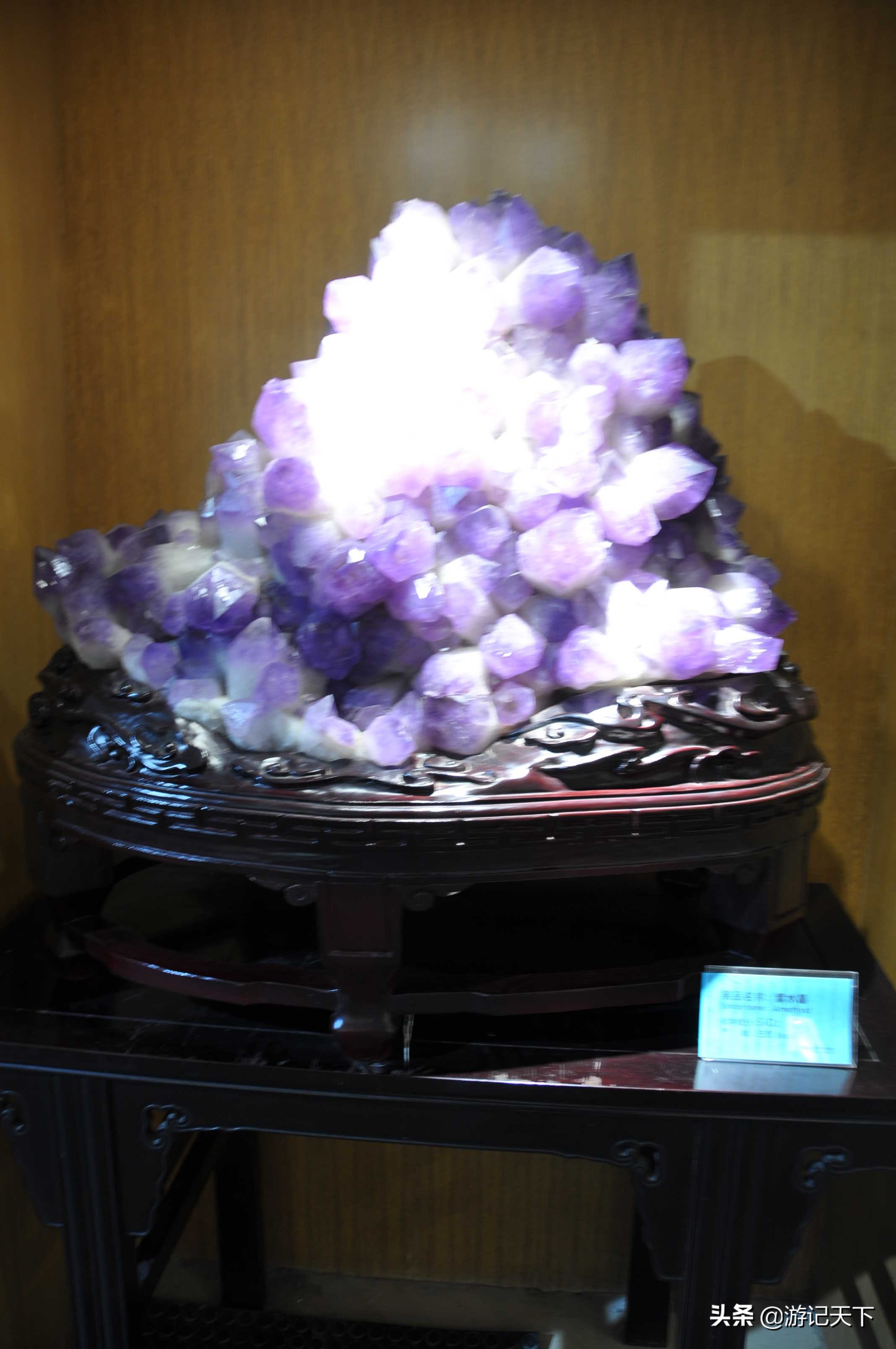 阿尼亚参观博物馆,上海地质科普馆游玩