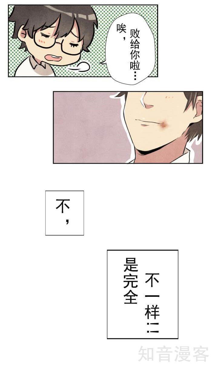 猫和铲屎官的日常生活漫画,猫和铲屎官的日常漫画