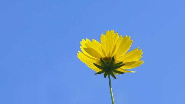 吵架了怎么破冰恢复联系,吵架好了怎么破冰