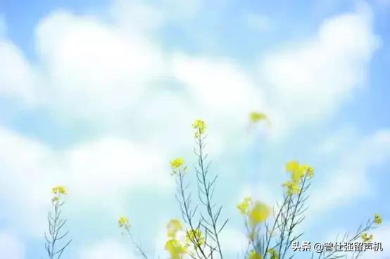 想要成为优秀的人要具备什么,怎样才能成为最有价值的人