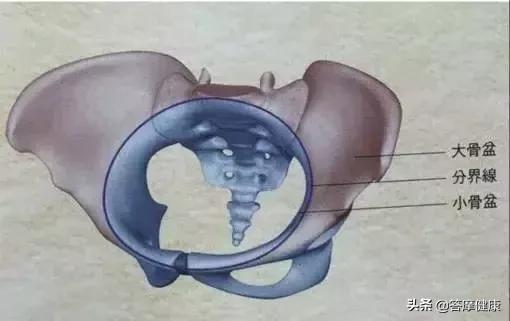 骨盆不正会导致腰腿疼吗,骨盆有问题会引起什么症状