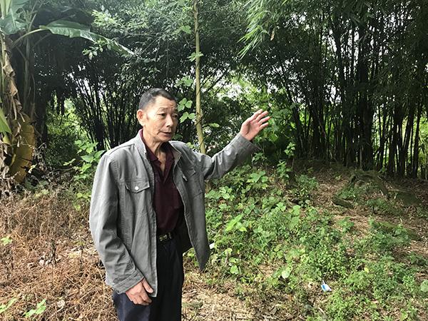 3600字长文收获1400万阅读量,强悍的“采访能力”撑起流量之王丨*今条头日**月度优质长文