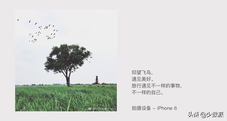 摄影获奖作品的照片,手机摄影获奖作品图集黑白照片