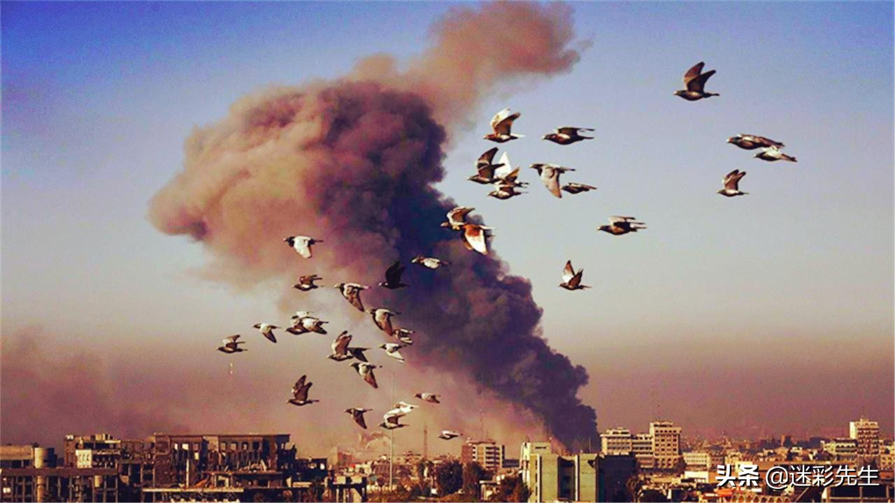 加沙地带出现罕见一幕:球迷高举卡塔尔和巴勒斯坦旗帜庆祝胜利!