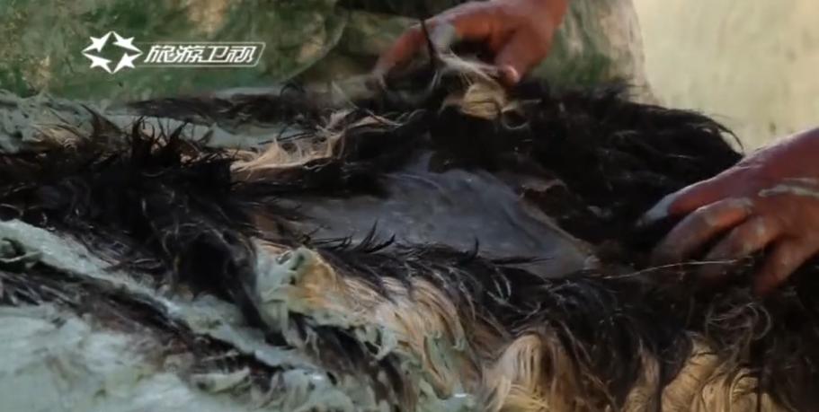 摩洛哥古法制皮视频,摩洛哥皮革制作全过程