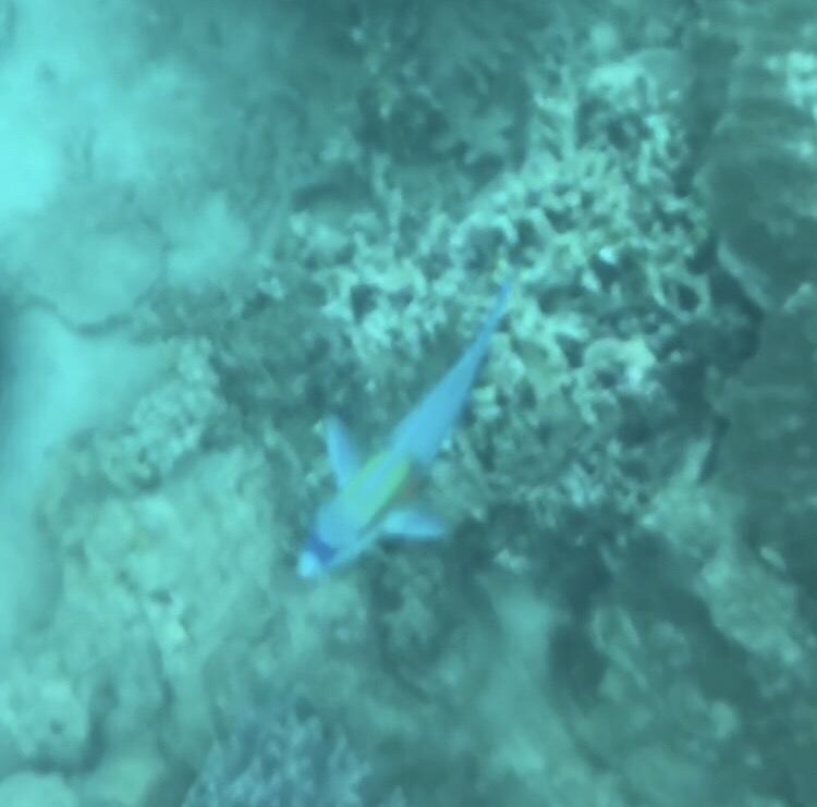 越南越美一生必去一次,越南必去10个地方