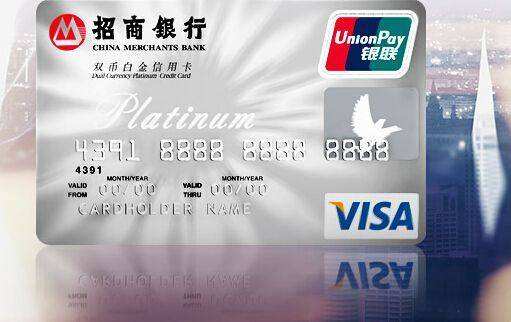 竹子科普有深度,竹子科普讲解