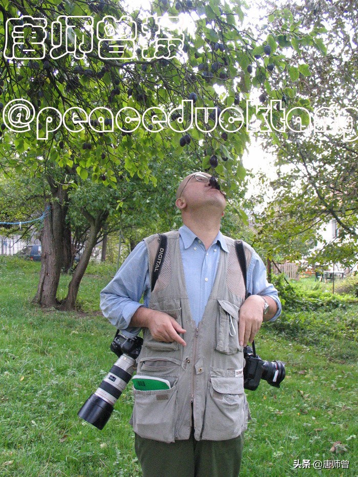 20210604唐师曾:红了樱桃