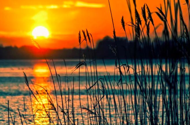 苏轼关于送别友人的诗,苏轼10首经典古诗送友人