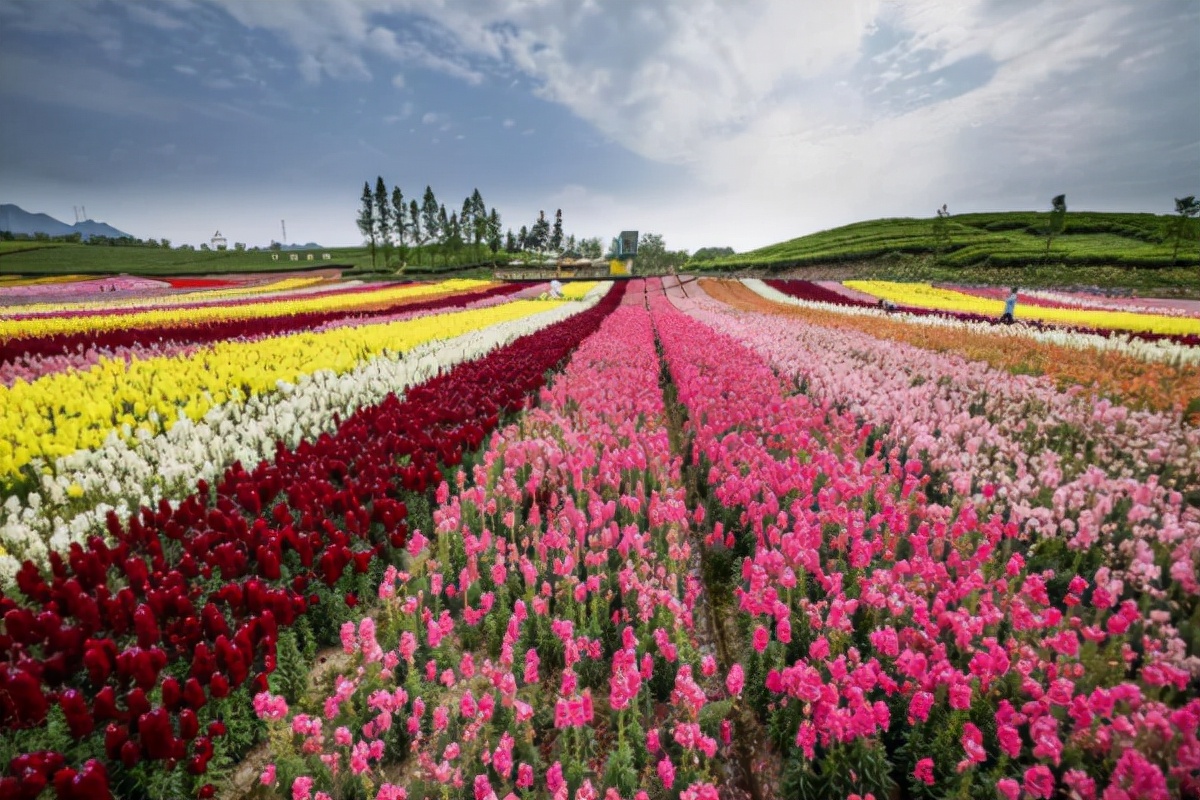 一个人静心旅居最适合去哪里,旅居感悟人生