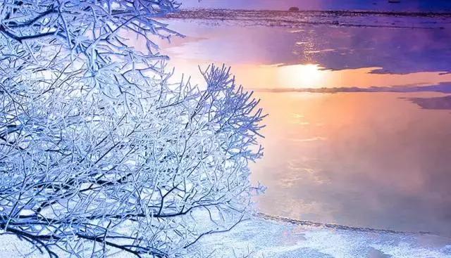 雾凇之美宛若仙境,连云港花果山雾凇美得像仙境