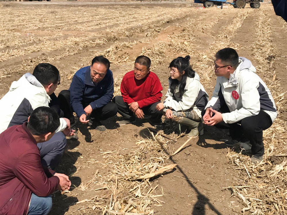 这位农技站长用十几年给黑土地“盖被子”