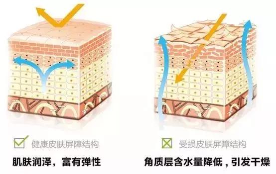 “范李分手”热搜？更应该看的是“范冰冰护肤*法大**”，勿踩大雷区