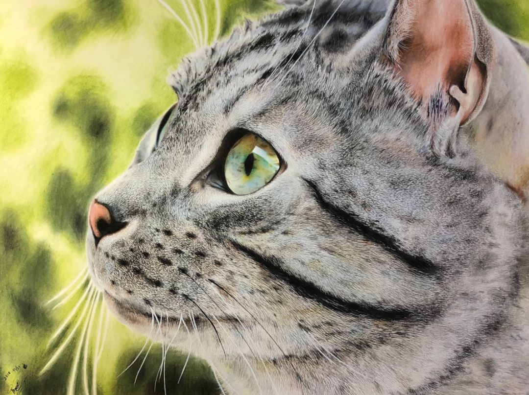 失明女孩铅笔画,保护视力守护心灵素描画