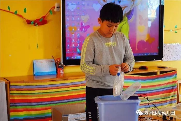 生命教育孵蛋,生命教育课程孵小鸡