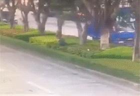 搞笑gif你以为我会乖乖地转圈吗,打着伞跳舞搞笑视频