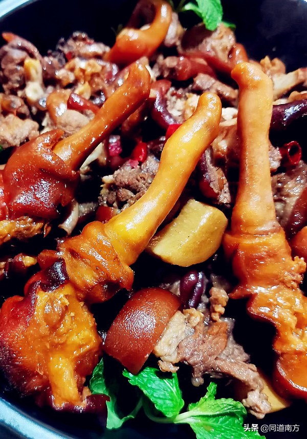 耀眼世界杯,欧洲杯直播比利时荷兰