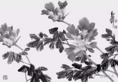 写意牡丹的画法步骤视频教程,王雪涛写意牡丹画法视频大全