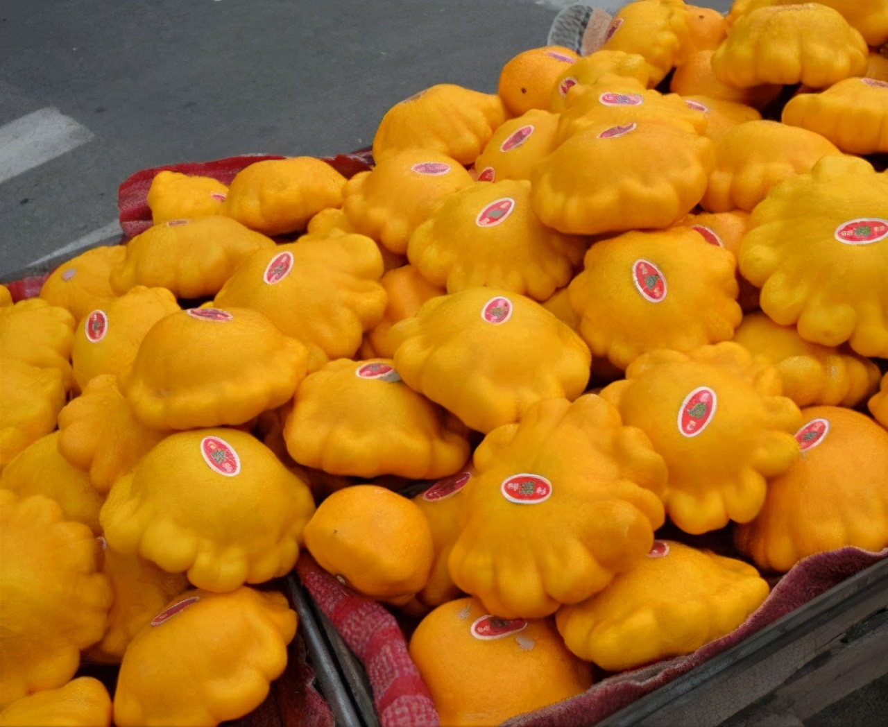 莲花果属于什么植物,莲花果介绍