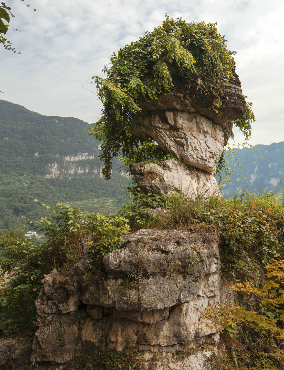 西陵峡风景区和三峡人家哪个好玩,三峡人家和西陵峡哪个景点值得去