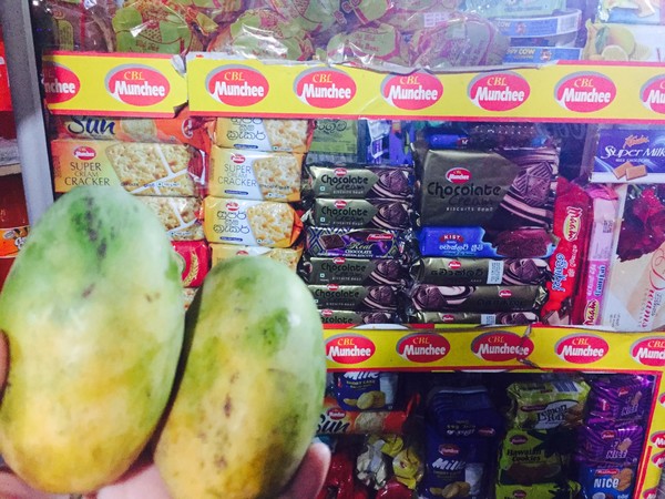 你是我生活远道而来的风景兰卡威斯里兰卡