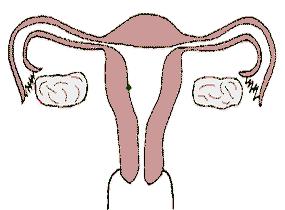 戴个套就那么难吗？再谈紧急避孕药