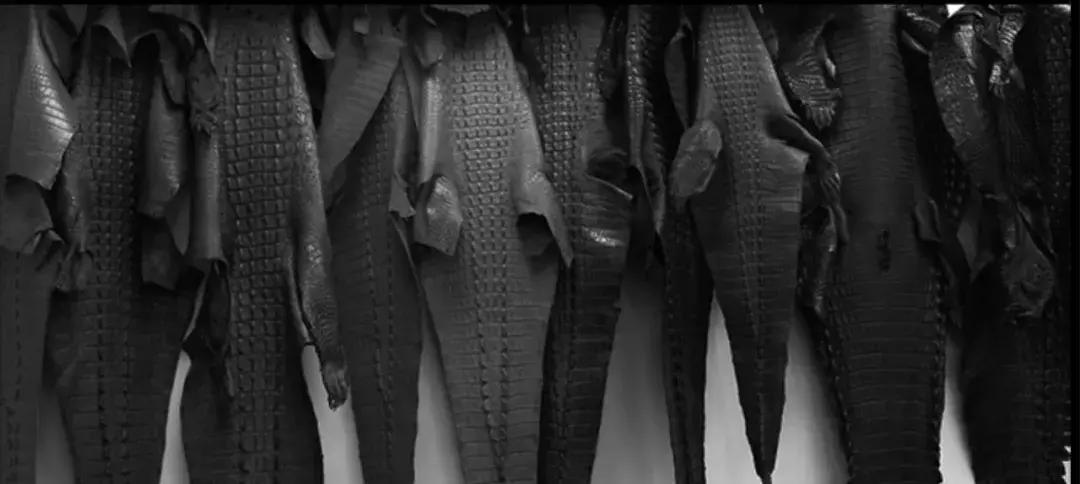 鍠滃姏鍏嬫柉槌勯奔鐨甫,鍠滃姏鍏嬫柉鐢峰＋鐨甫