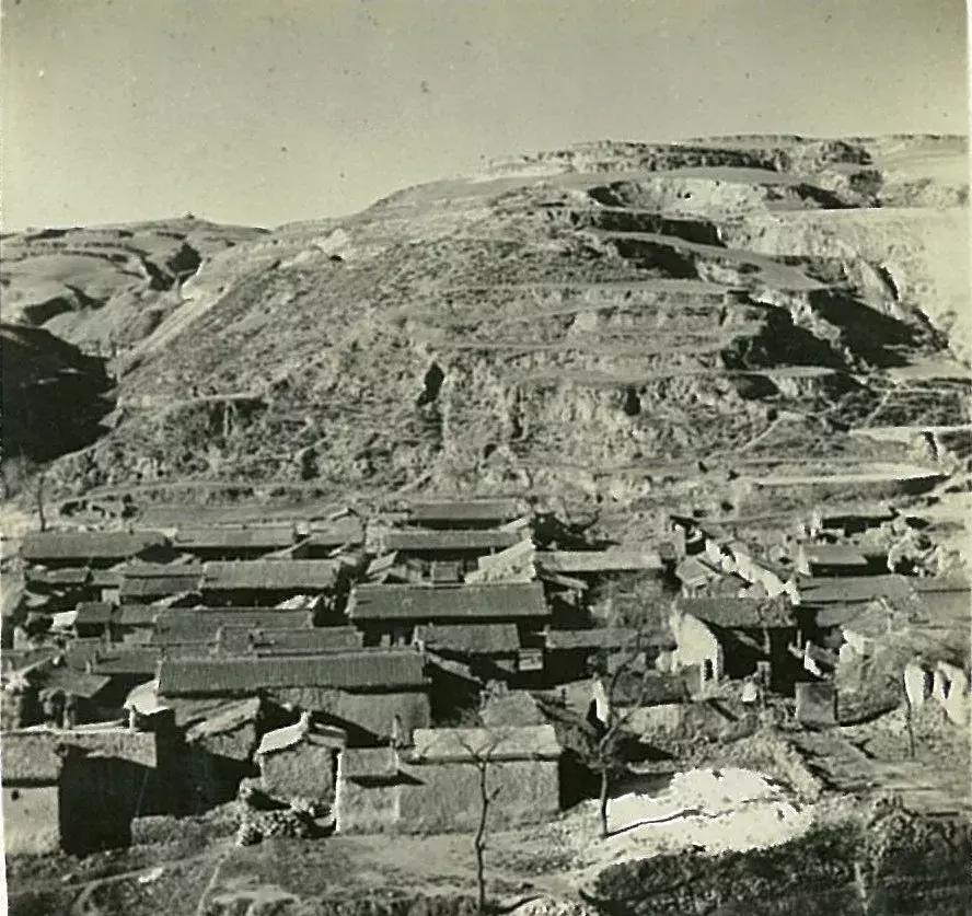 你可能没见过的姓氏,你可能没见过的日语