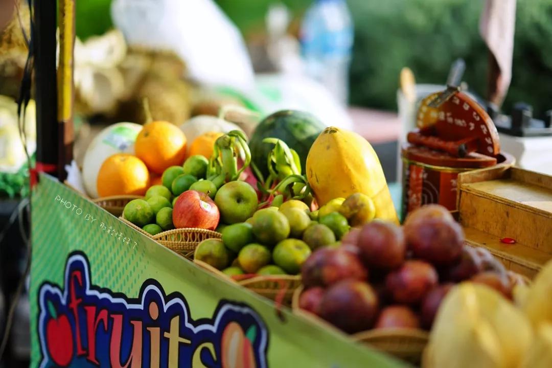 美国艺术家老夫妇定居苏梅岛十年，教游客画垃圾桶，唤醒环保意识