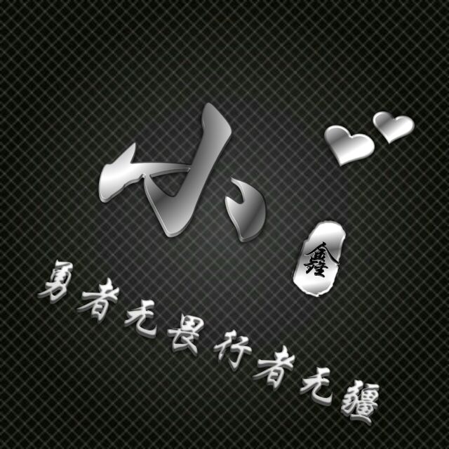 勇者无畏行者无疆姓氏头像,勇者无敌图片头像