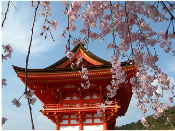 来到日本不能错过章鱼小丸子,来东京不能错过的地方