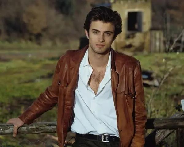 有王子谁还看剧情？帅就完了。荧幕上的中外王子，谁是你的菜？