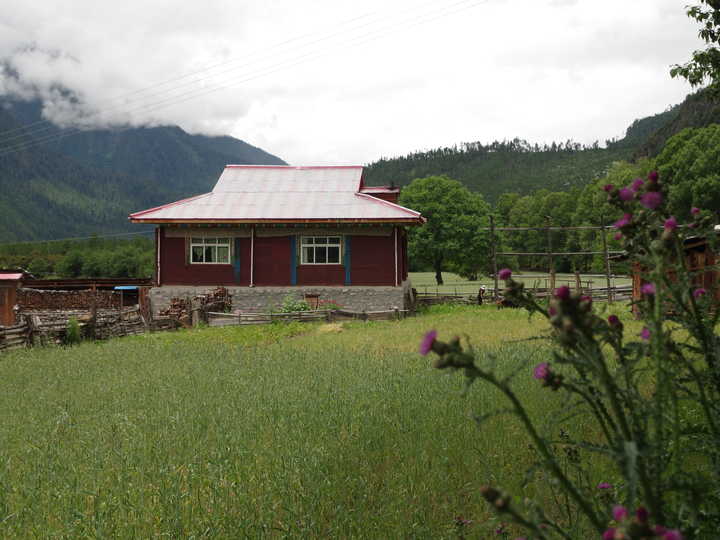 王小花的全部作品,王小花攻略