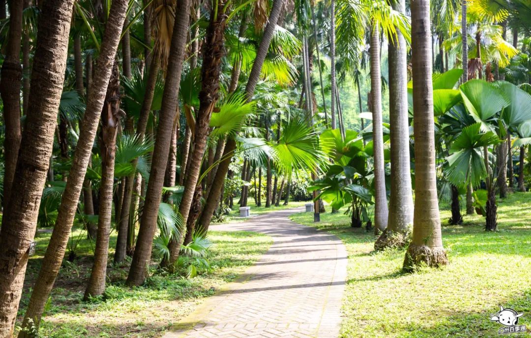 300+万㎡原始森林秘境，天河就有