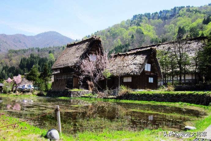 猛犬在身边也挡不住它们，爷爷口述我整理，我们村老猎人遇到的事