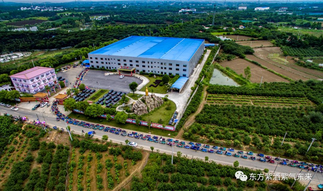 东方紫酒详细介绍,东方紫酒新国粹