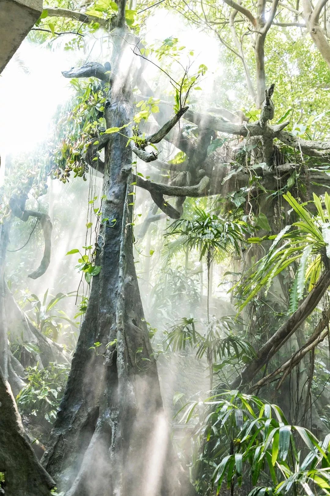 深圳旅游好去处推荐,深圳宝安区周末休闲浪漫好去处