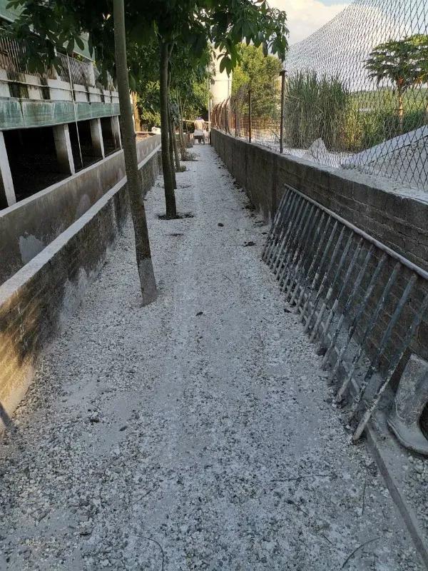 100头母猪发展到2000头需要多久,回望二十年养猪之路