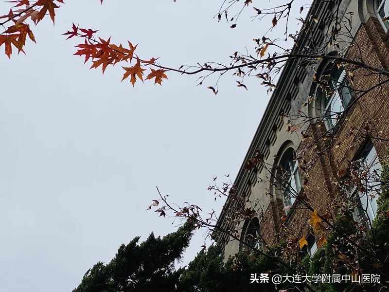 【博古通今】小编带你“逛”医院②