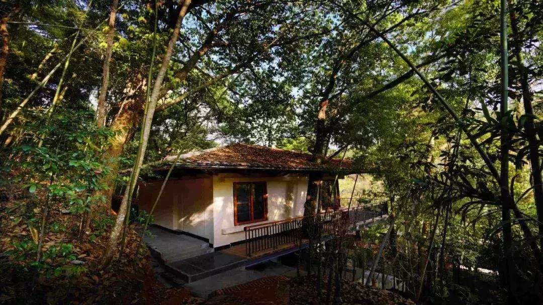 南昆山山顶风景,南昆山幽谷