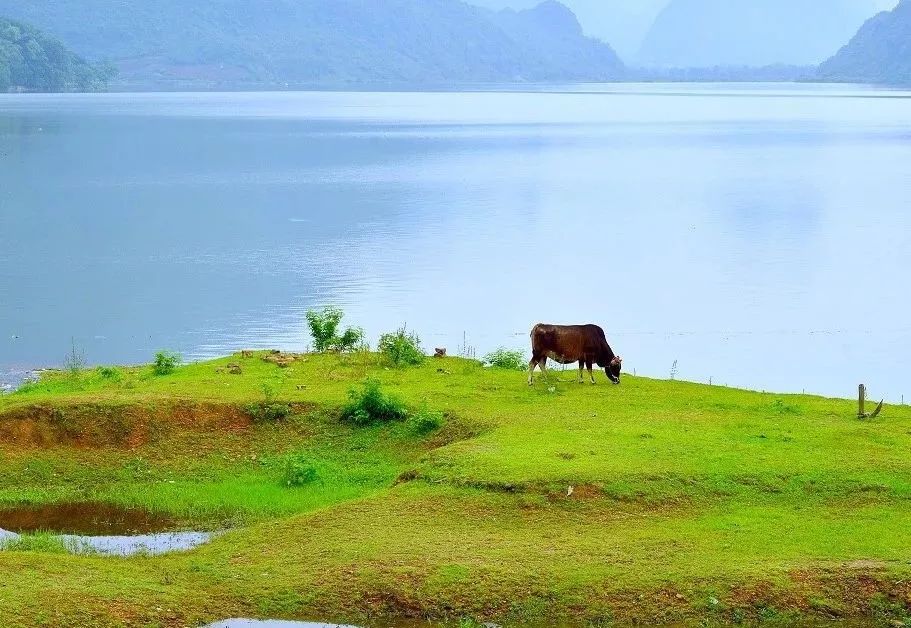 这才是世上最好的养生看完就懂了,所有养生都是徒劳看完就明白了