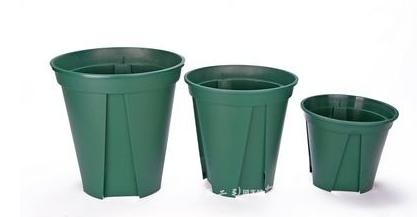 如何为你的植物选择合适的花盆,怎么选择合适的花盆口径