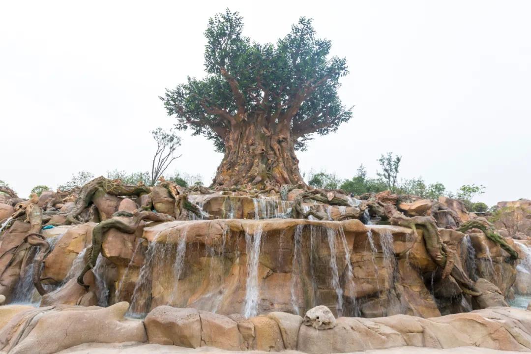 野生动物王国值不值得去,北方新开的动物王国