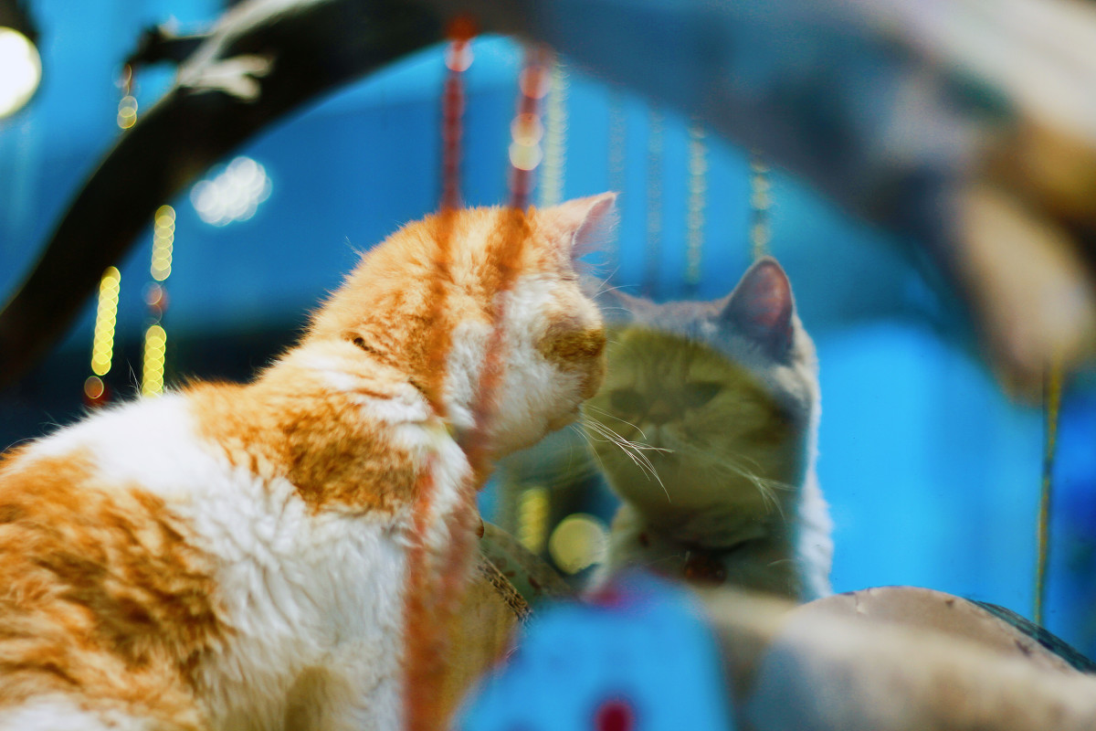 “自大是失败的前兆”：了解自负的4个源头，并非不能克服