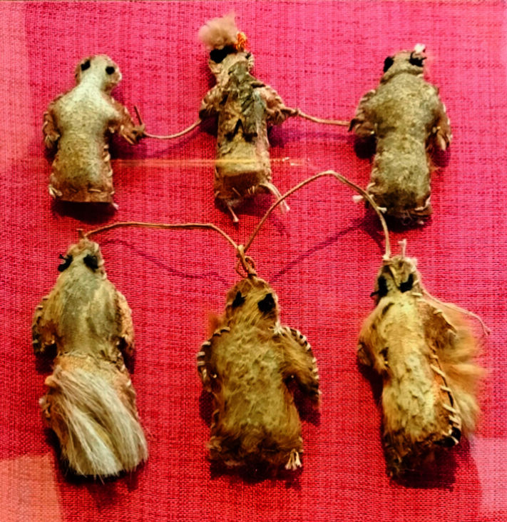 随笔：13世纪欧洲人眼里的蒙古人，到底是什么样的？