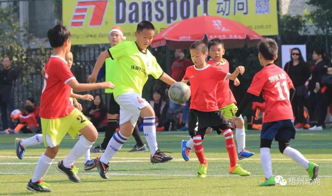 足球训练营公益,足球训练公益项目