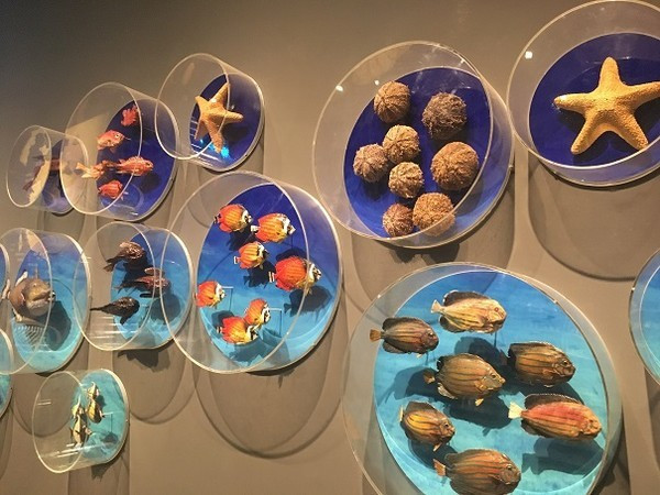 领略海口美丽风光，尝尽海口的各种美食