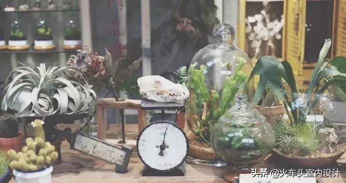 她放弃了总监职位后续,她辞去总监回家扶贫全集