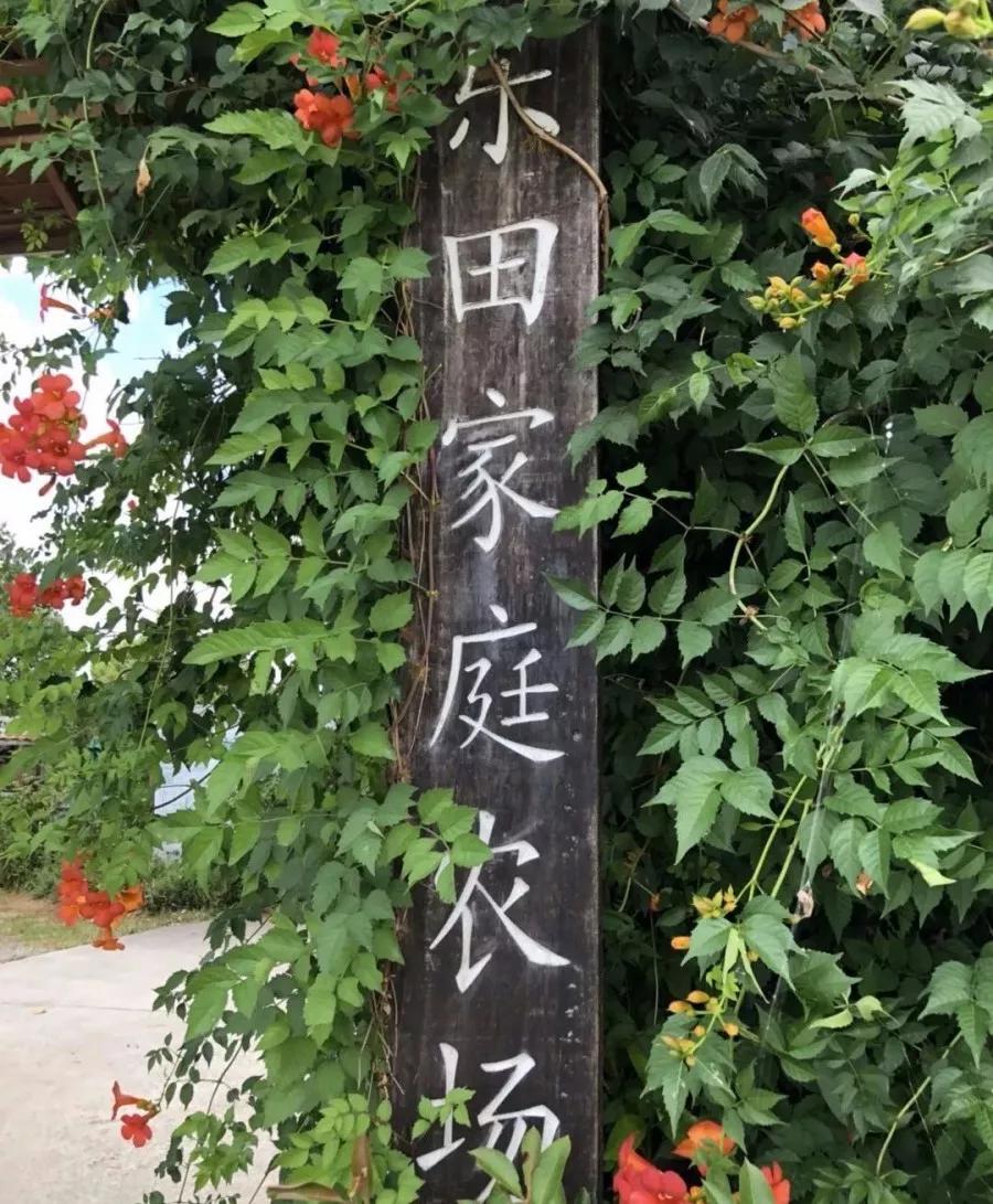 乐田市民家庭农场，德国海归博士送给女儿的礼物