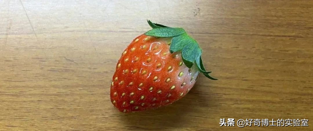 撸过猫撸过狗但你撸过“鱼”吗?